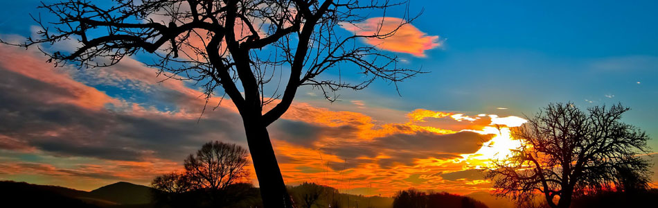 ddos在线攻击平台