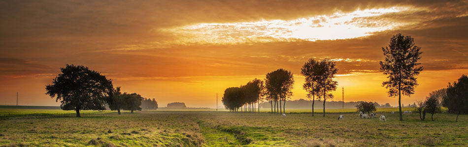 ddos攻击测试工具